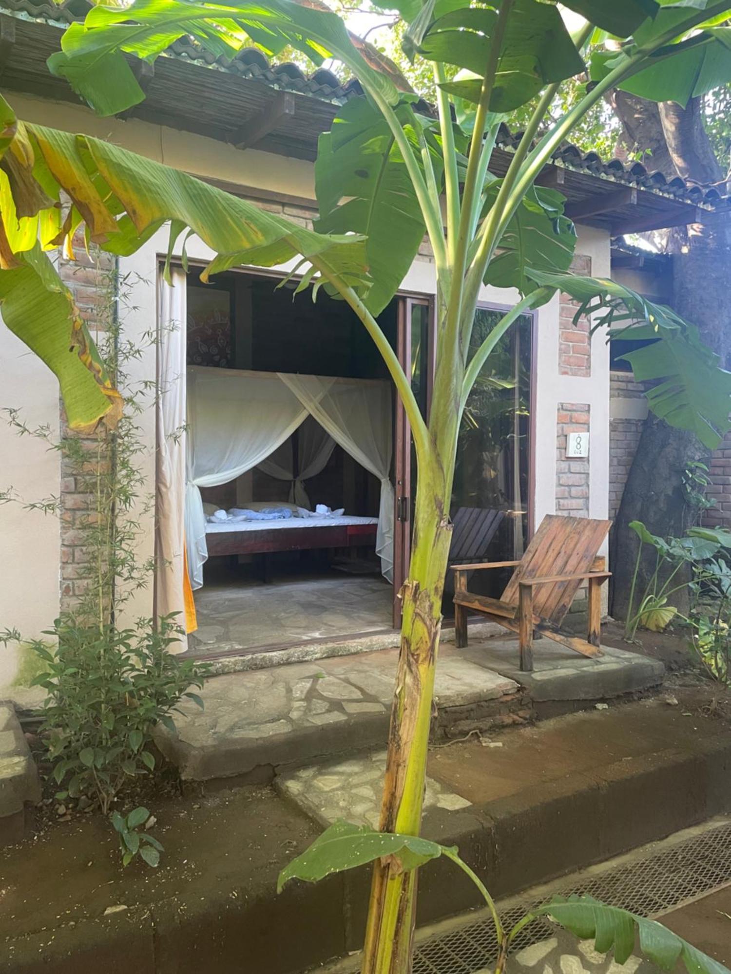 Hostal Casa Abierta Leon Bagian luar foto