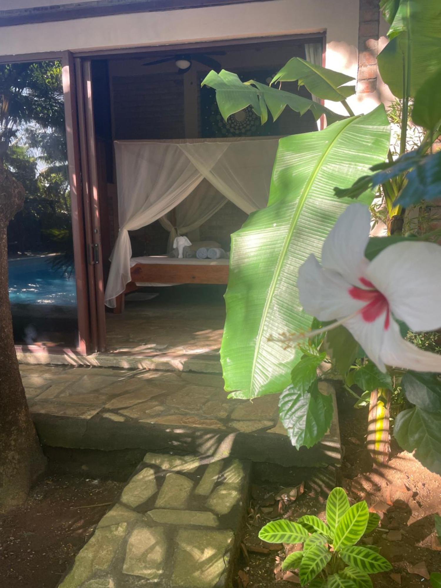Hostal Casa Abierta Leon Bagian luar foto